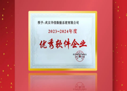云顶国际 云顶数据荣膺武汉市软件行业协会2023~2024年度优秀软件企业称号