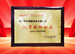 喜讯丨云顶国际 云顶数据获评2024~2025年度武汉市软件行业&ldquo;优秀企业&rdquo;、&ldquo;优秀工作者&rdquo;荣誉称号！